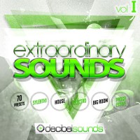 Decibel Sounds - Extraordinary Sounds Vol 1 - Sylenth1 .fxb